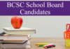 Brownsburg School Board Candidate Information