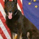 Brownsburg police K9 fatally struck by car after escaping enclosure