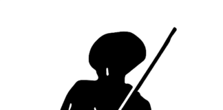 About the Brownsburg Sentinel