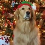 BFT Santa Makes a Special Trip