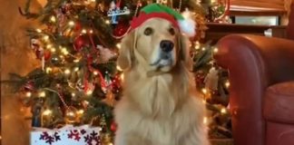 BFT Santa Makes a Special Trip